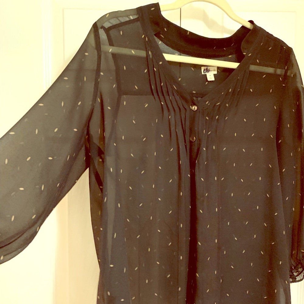 Frenchi sheer blouse from Nordstrom